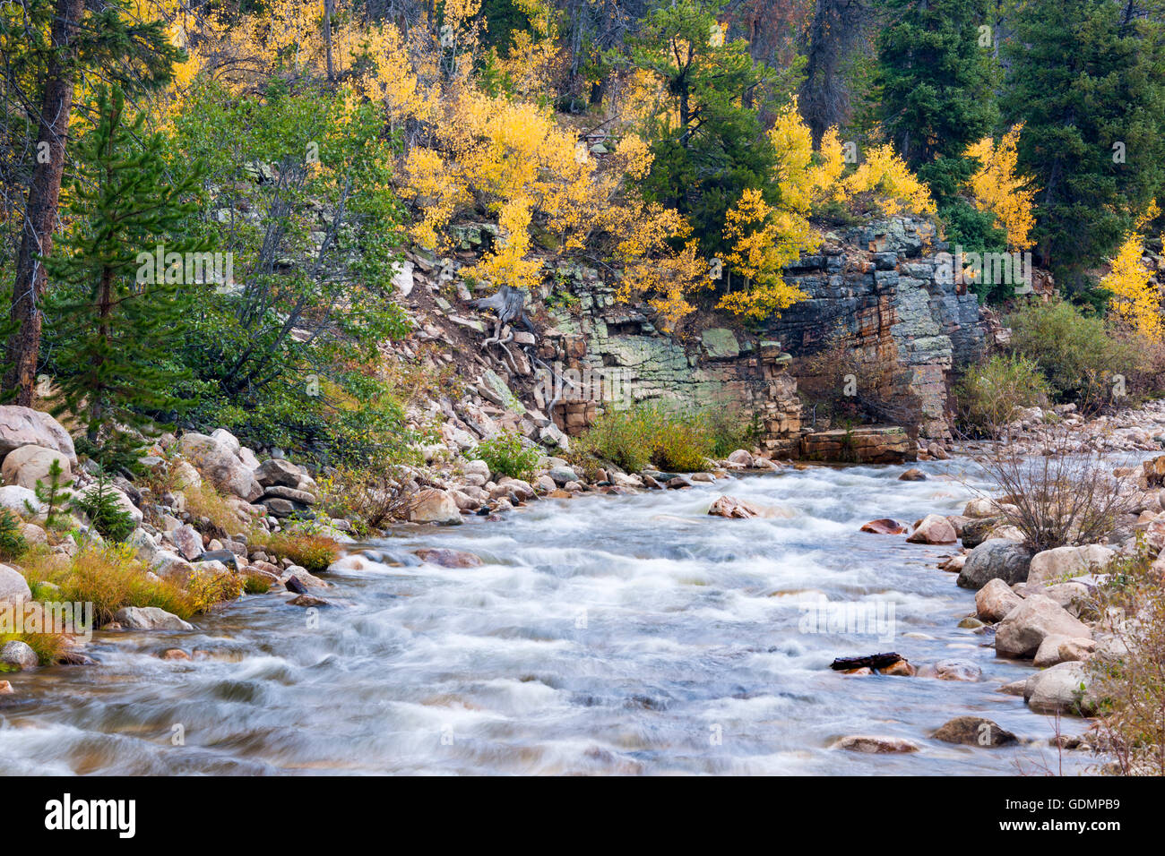 Parte superiore del Fiume Provo nel Uinta Mountains of Utah con Giallo autunno colorato alberi di Aspen. Foto Stock