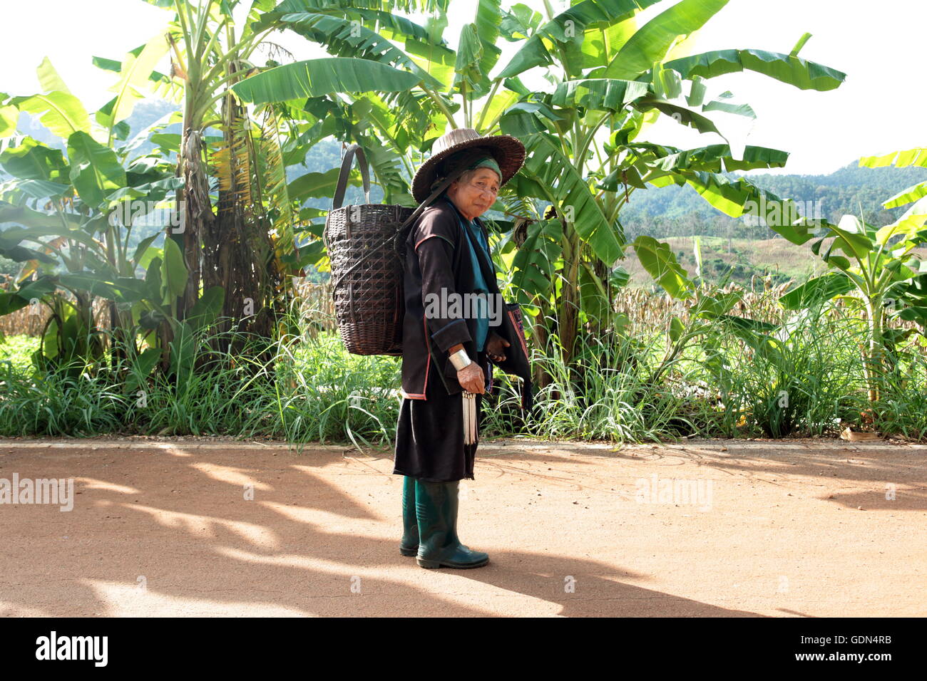 Un allevamento le donne della minoranza di Lahu Lisu o nei pressi del villaggio di Chiang Dao a Nord di Chiang Mai nel nord della Thailandi Foto Stock