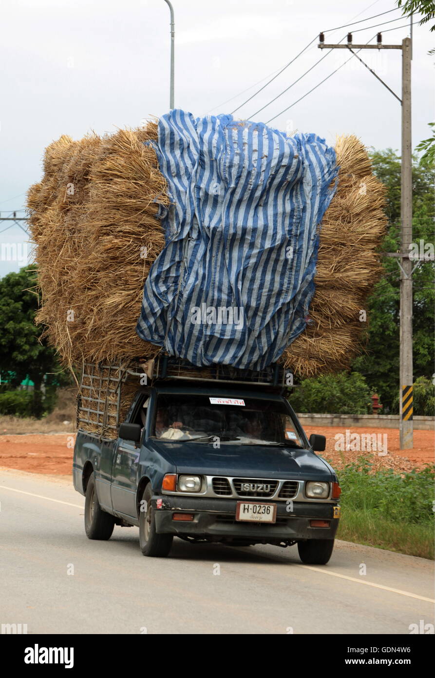 Un trasporto nei pressi del villaggio di Fang nel Nord di Chiang Mai nel nord della Thailandia in Southeastasia. Foto Stock