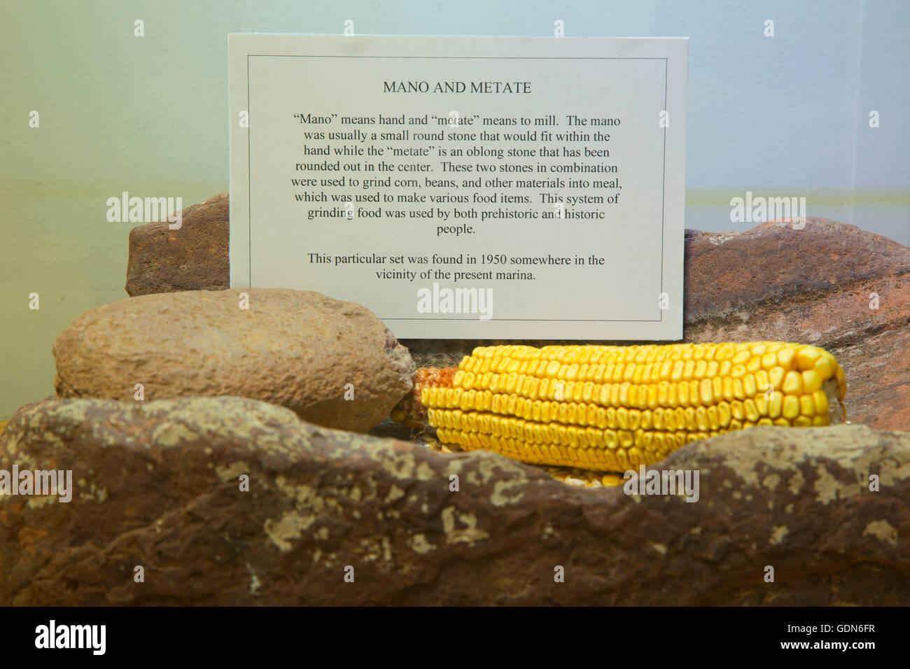Mano e Metate in Roosevelt Lago del Centro Visitatori, Tonto National Forest, Arizona Foto Stock