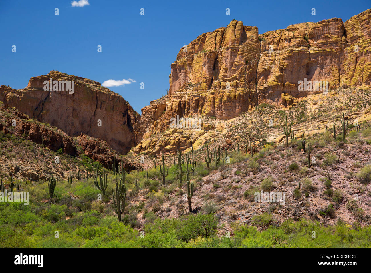 La superstizione Mountain View, Apache Trail Scenic Byway, Tonto National Forest, Arizona Foto Stock