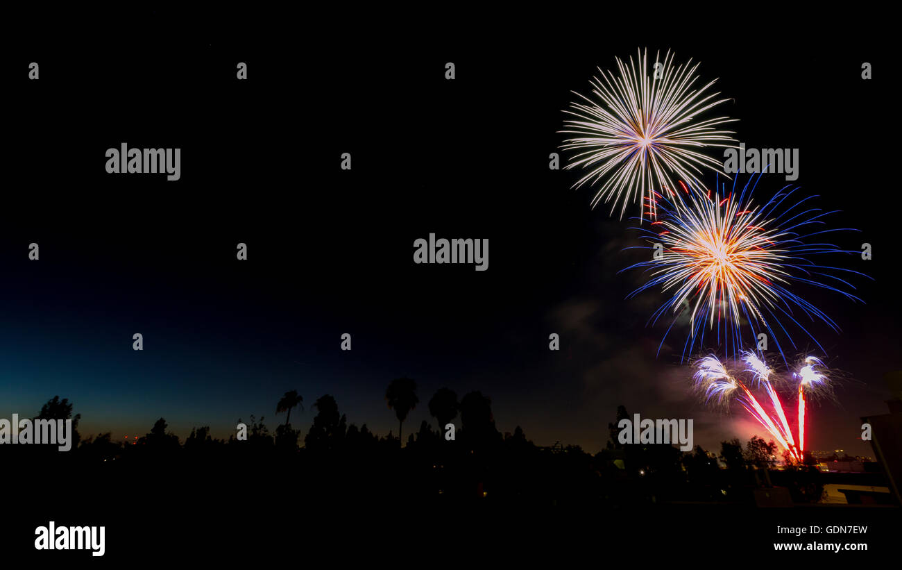 Fuochi d'artificio del 4 luglio. Fotografato in Studio City a Los Angeles in California Foto Stock