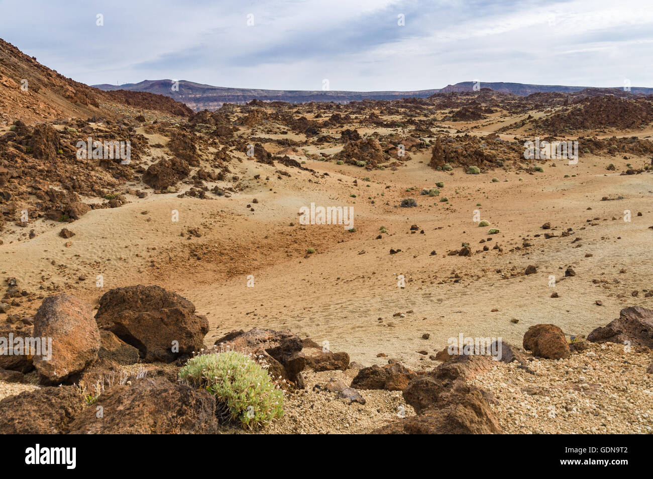 Paesaggio vulcanico con vegetazione rada, Parco Nazionale di Teide Tenerife, Spagna Foto Stock
