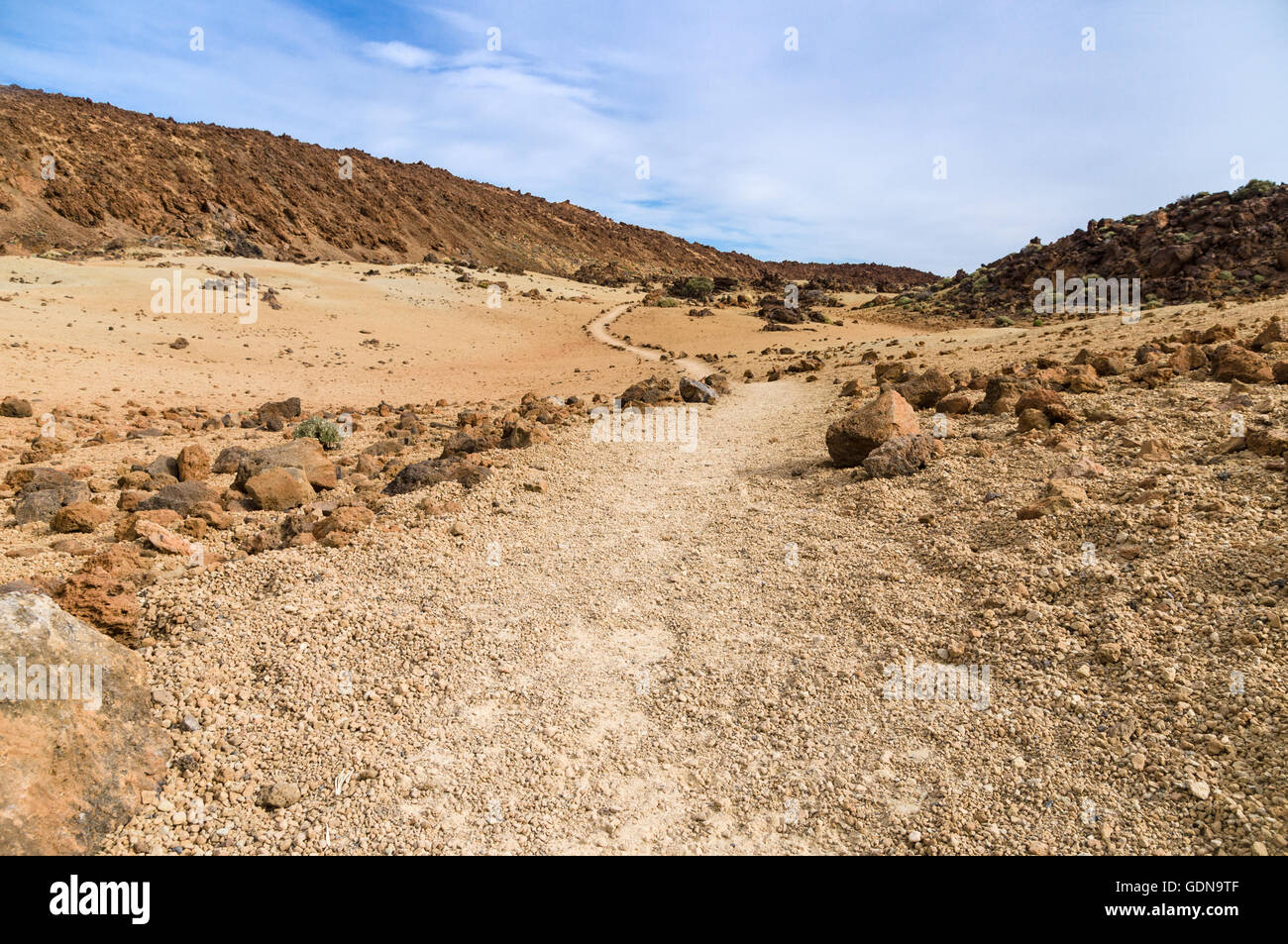 Il sentiero conduce attraverso il paesaggio vulcanico dell'isola di Tenerife, Spagna Foto Stock