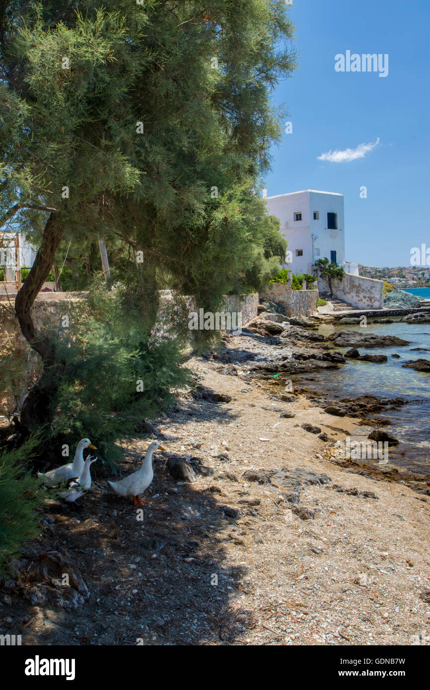 Syros Grecia Foto Stock