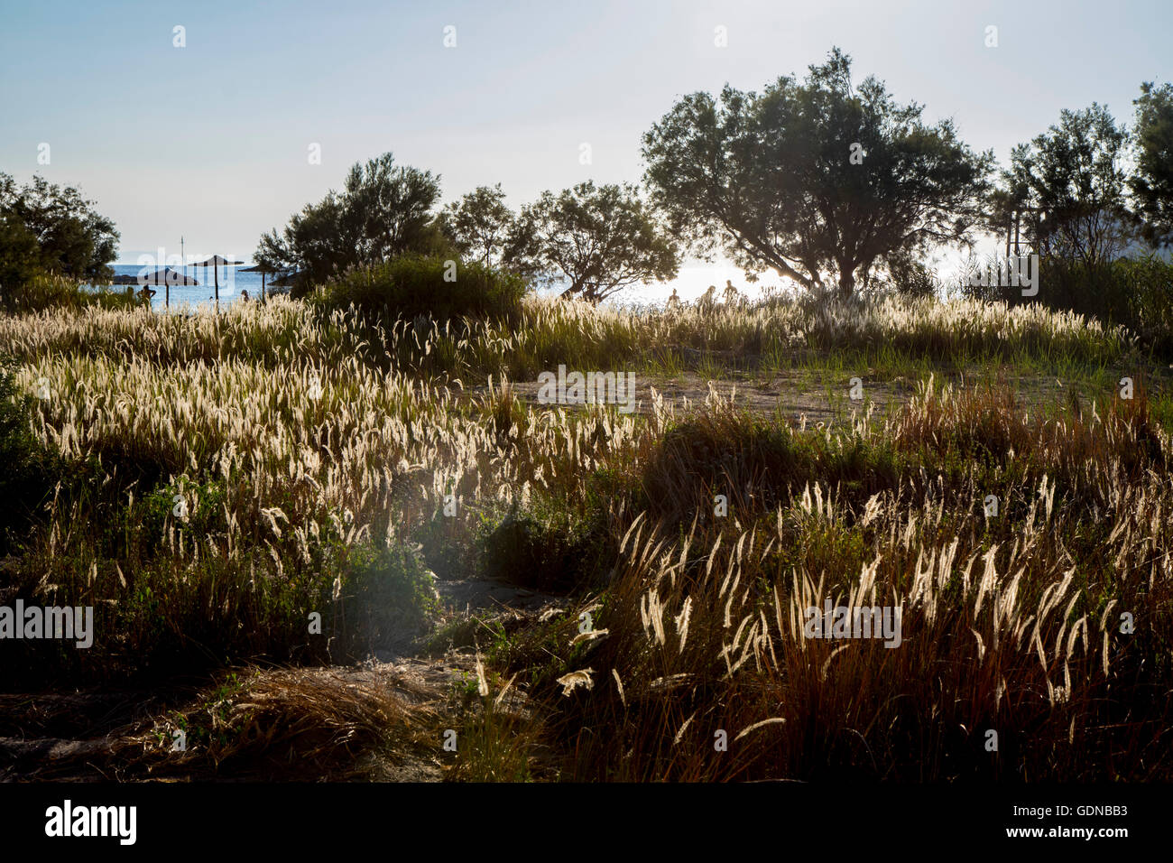 Isola Syros Grecia Foto Stock