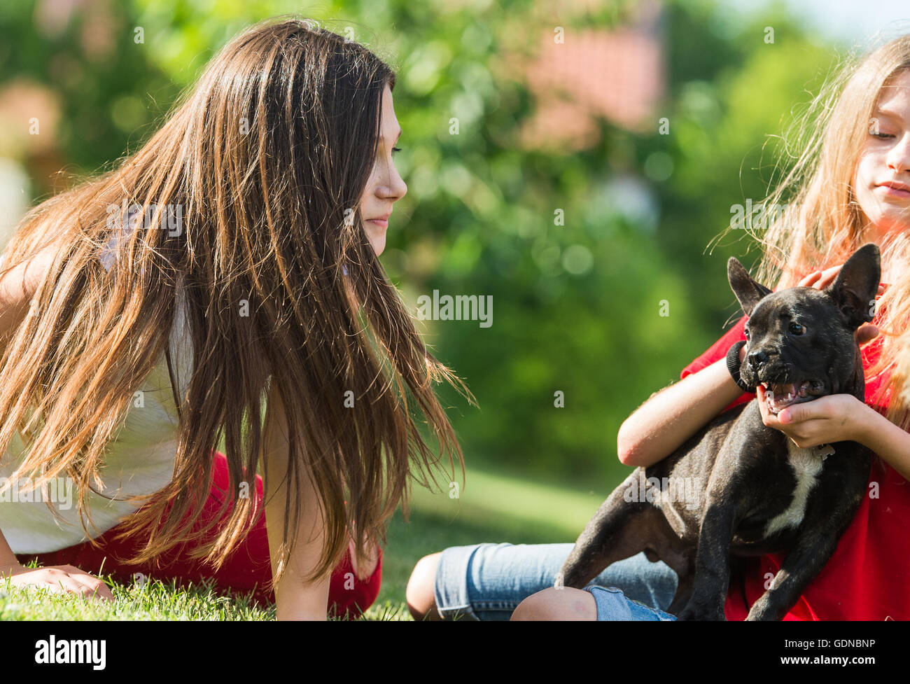 Giovani ragazze con bulldog francese cucciolo Foto Stock