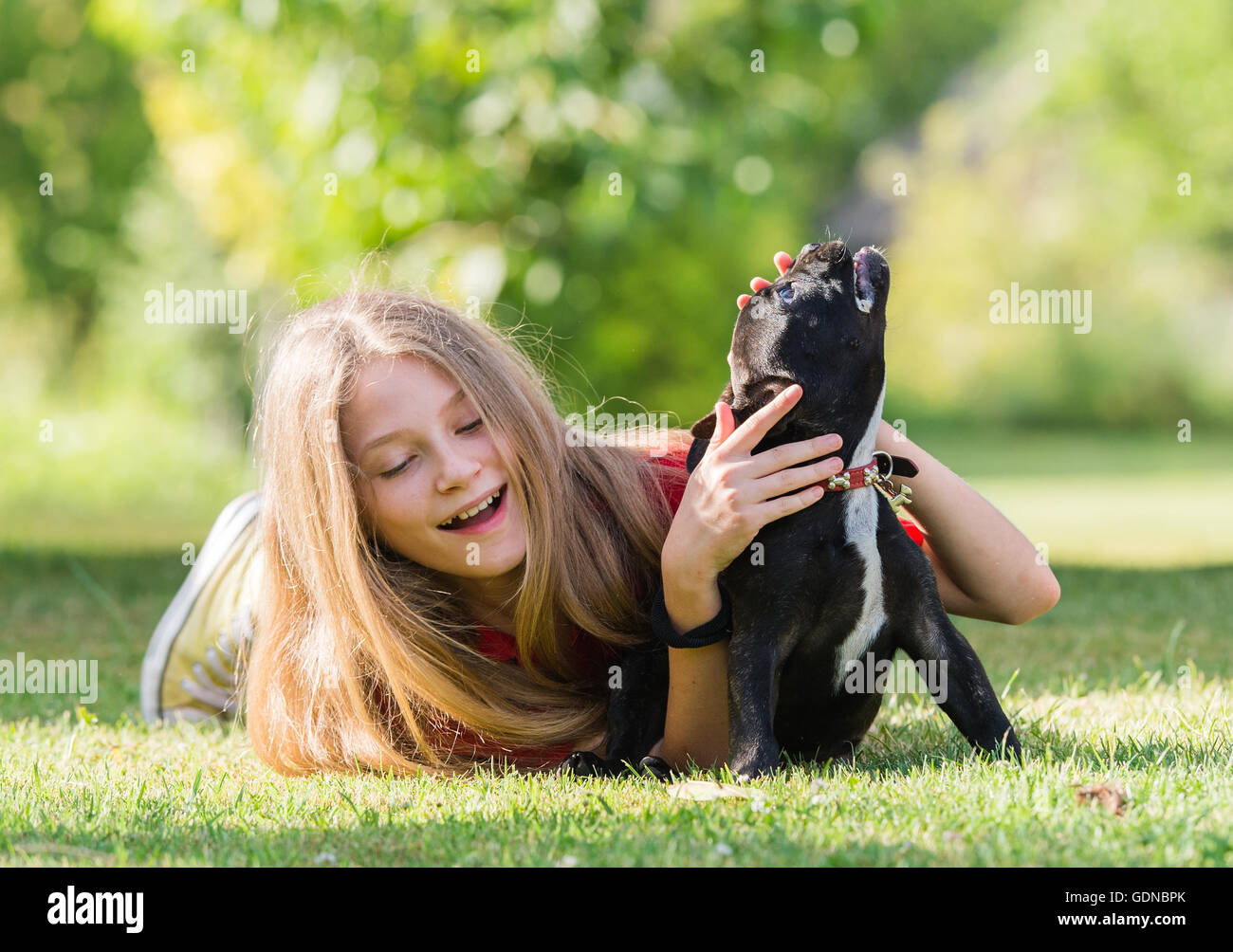 Giovane ragazza carina con bulldog francese cucciolo Foto Stock