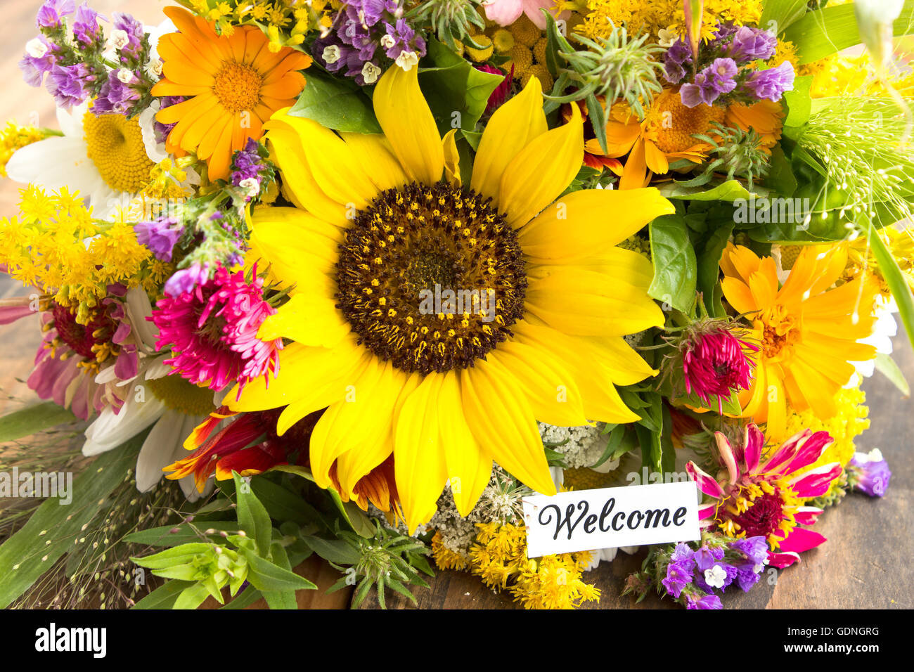 Welcome Card con bouquet di fiori d'estate. Foto Stock