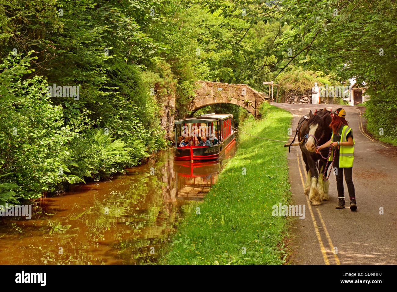 Cavallo e turismo barge in alto a Llangollen Canal vicino a ferro di cavallo cade a Llangollen, Denbighshire, Galles Foto Stock