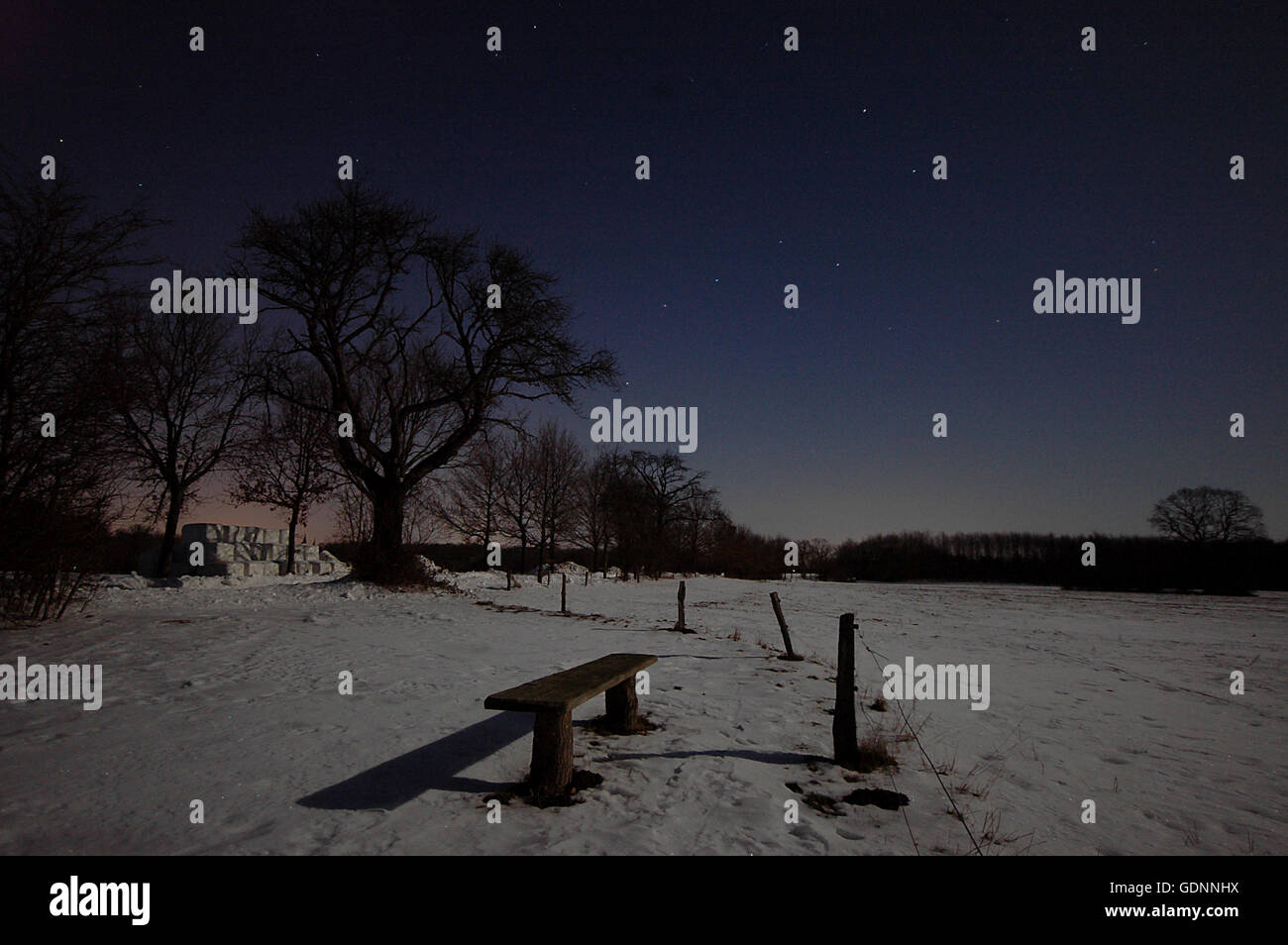 Paesaggio invernale visto di notte al chiaro di luna. Il 'Big Dipper' costellazione sorge chiaro nel cielo. Foto Stock