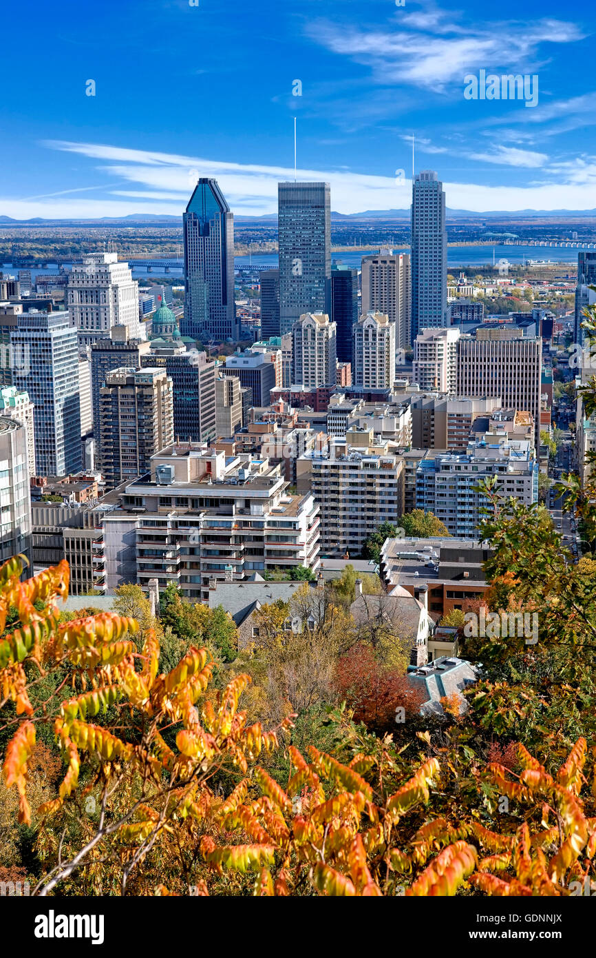 Lo skyline di Montreal vista da Mount Royal Foto Stock