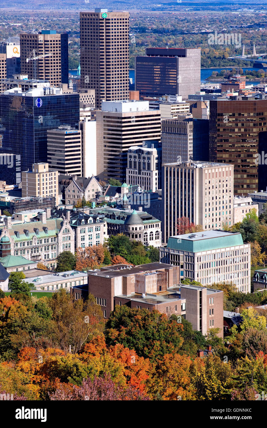 Lo skyline di Montreal vista da Mount Royal Foto Stock