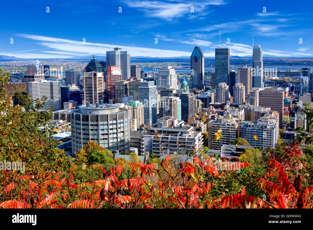Lo skyline di Montreal vista da Mount Royal Foto Stock
