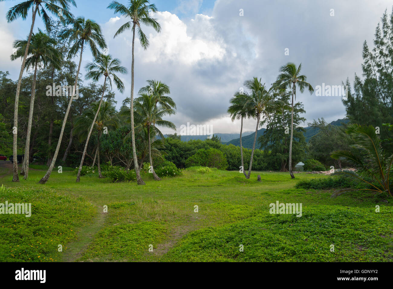 Baia di Kahana giardino sulla sponda nord di Oahu HawaII Foto Stock