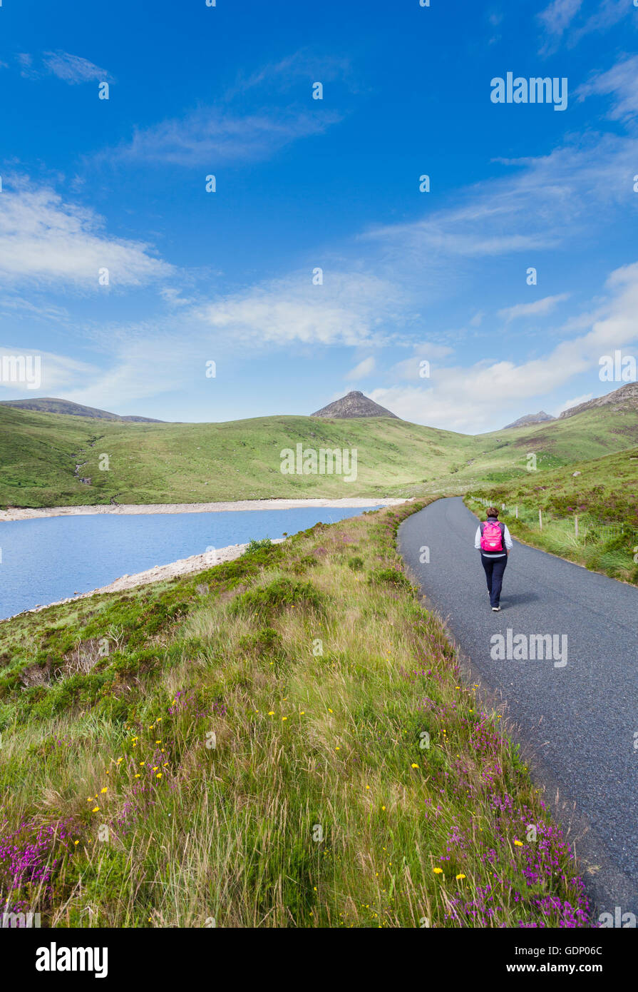 Donna Lone che cammina sul sentiero accanto Al Serbatoio Silent Valley, Mourne Mountains, Giù, Irlanda del Nord Foto Stock