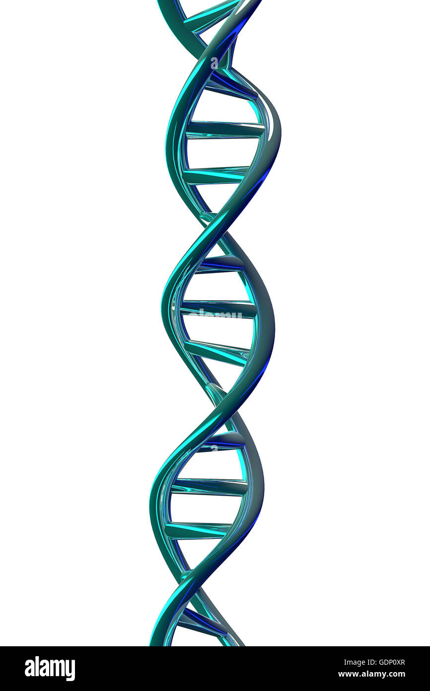 3D rendering di elica di DNA isolato su sfondo bianco. Foto Stock