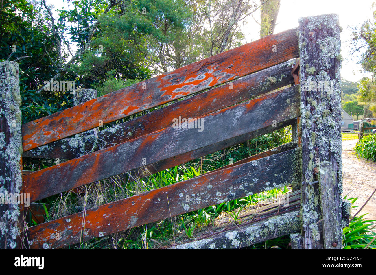 Weathered rampa di bestiame Foto Stock