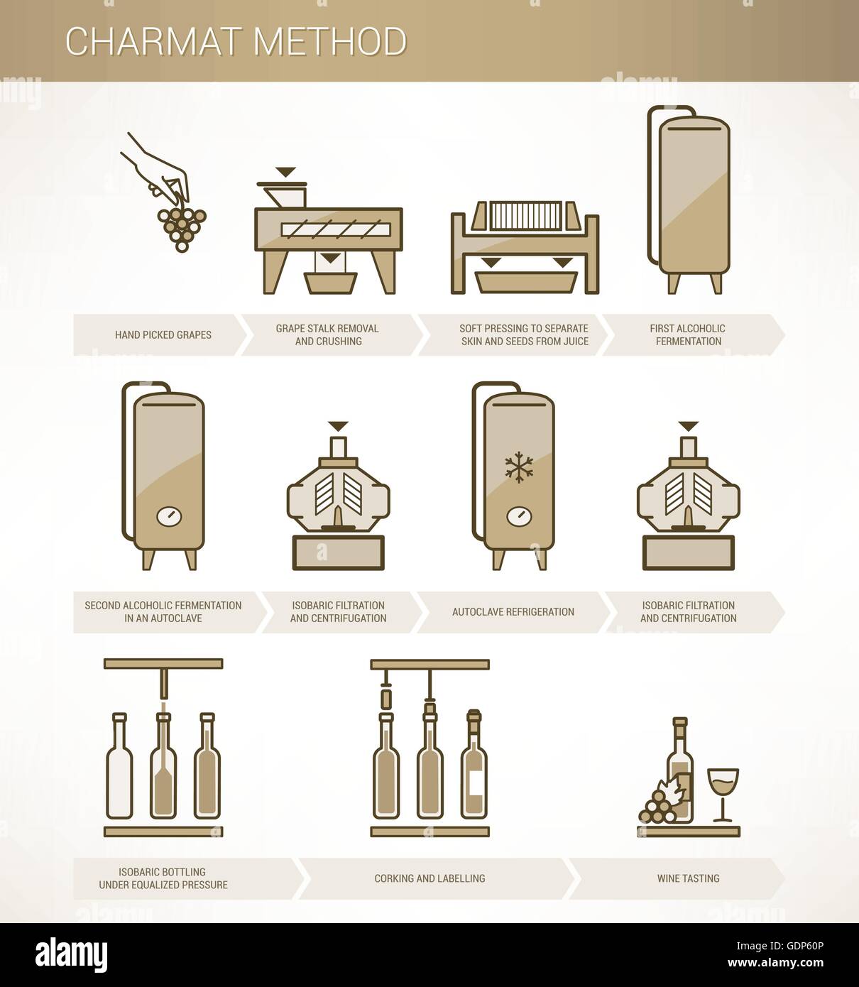 Procedura di vinificazione da uve al vino: metodo charmat infographics Illustrazione Vettoriale