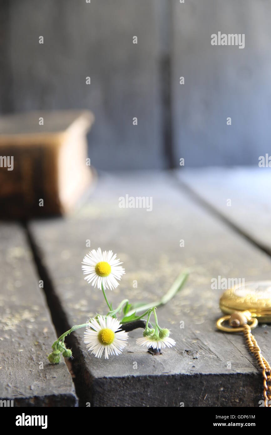 Fiori di Primavera e pocket watch, sfondo floreale Foto Stock