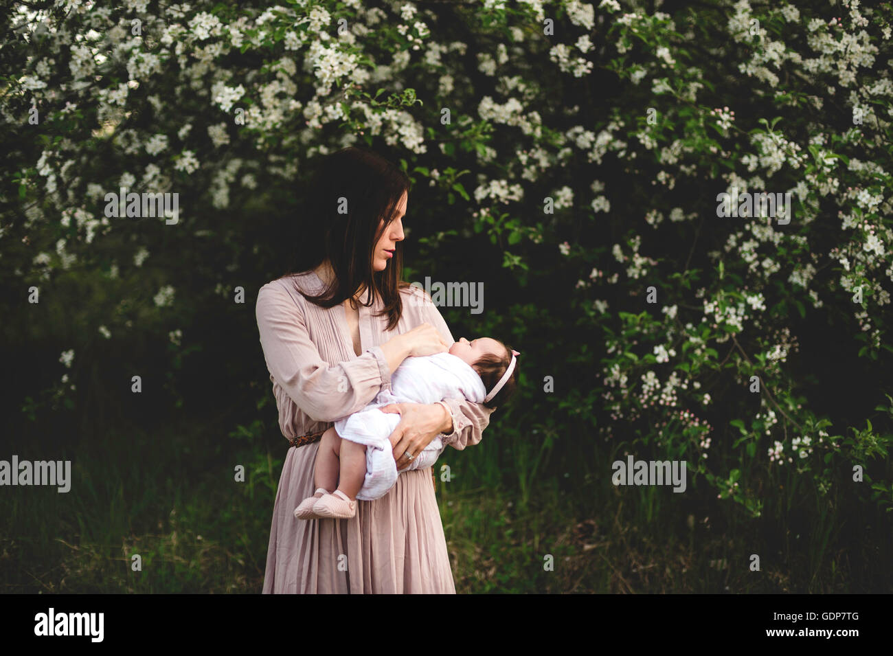 Metà donna adulta bambino portando la figlia a braccia da giardino apple blossom Foto Stock