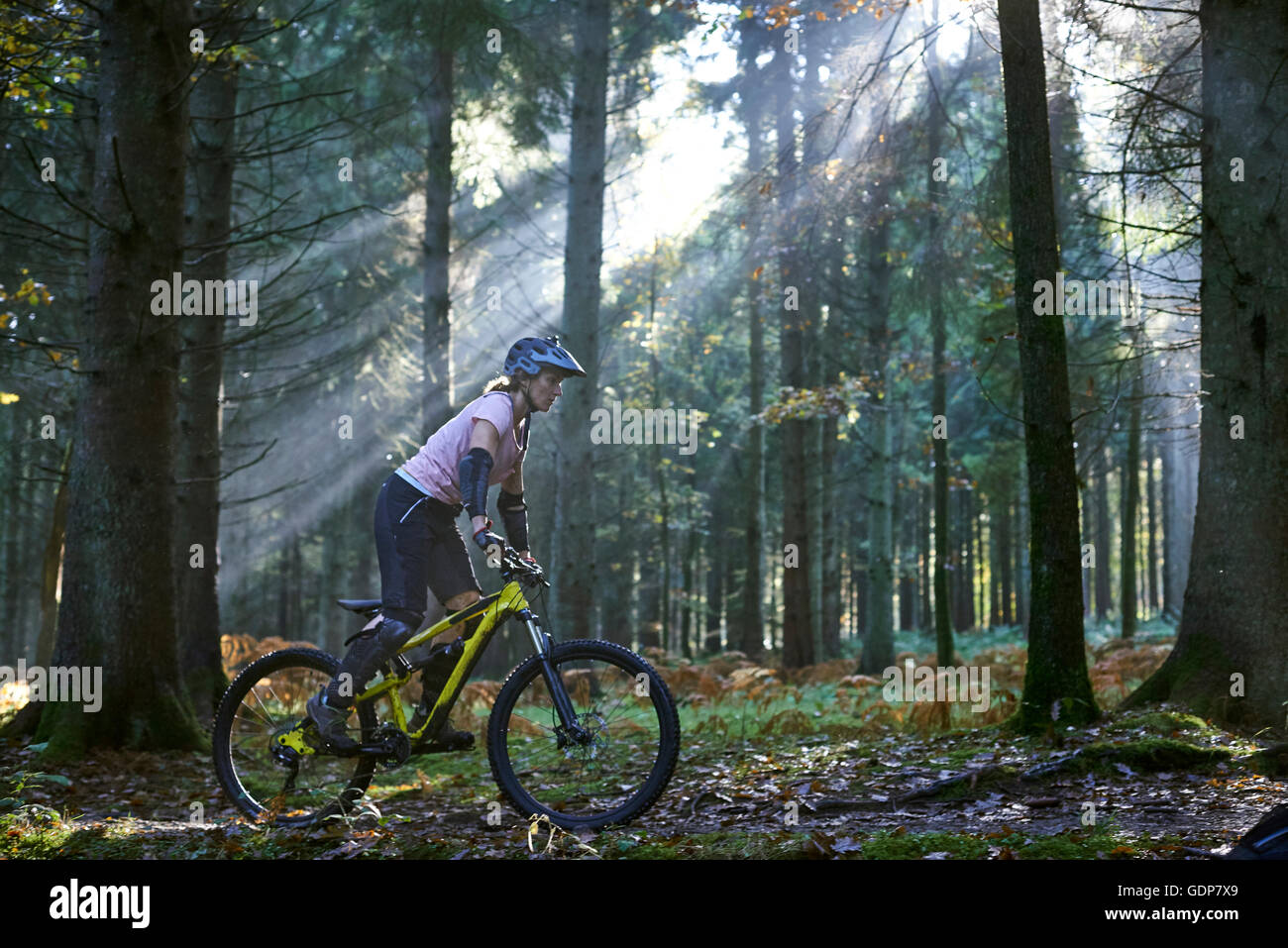 Femmina mountain biker in bicicletta nel suo sunbeam accesa Foresta di Dean, Bristol, Regno Unito Foto Stock