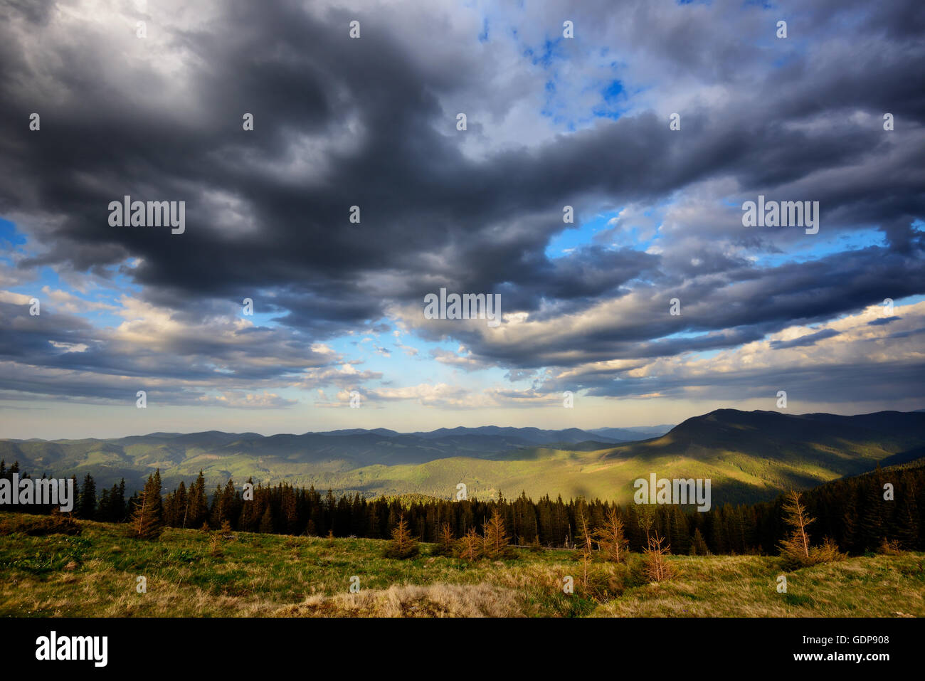 Chornogora Ridge il paesaggio, le montagne dei Carpazi, regione di Ivano-Frankovsk, Ucraina Foto Stock