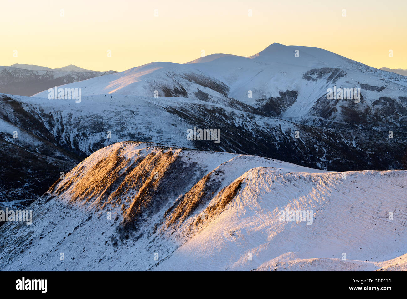 Svidovets montagna cresta, Carpazi, regione di Ivano-Frankovsk, Ucraina Foto Stock
