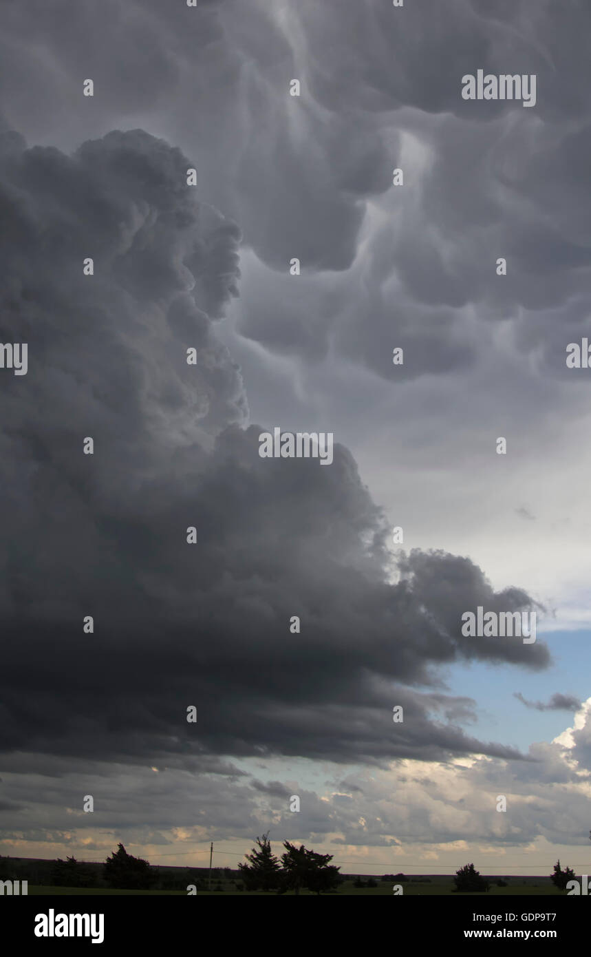 Agitato nuvole mammatus salire dietro il cielo scuro Foto Stock