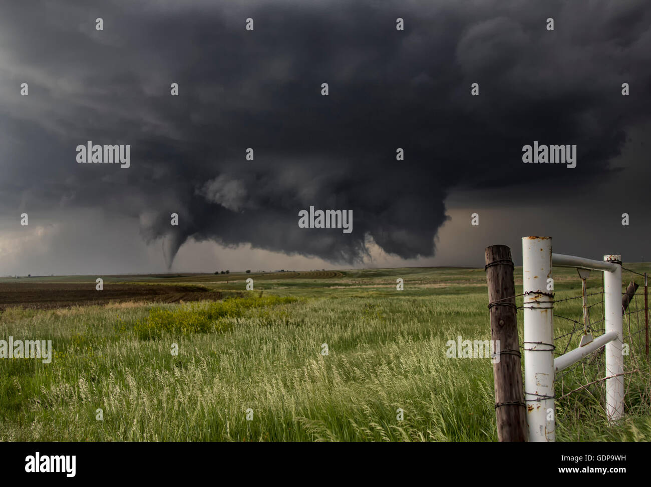 Un grande cono tornado tocca verso il basso in un aperto il campo Paese da una grande massa ad angolo-parete raschiante cloud Foto Stock