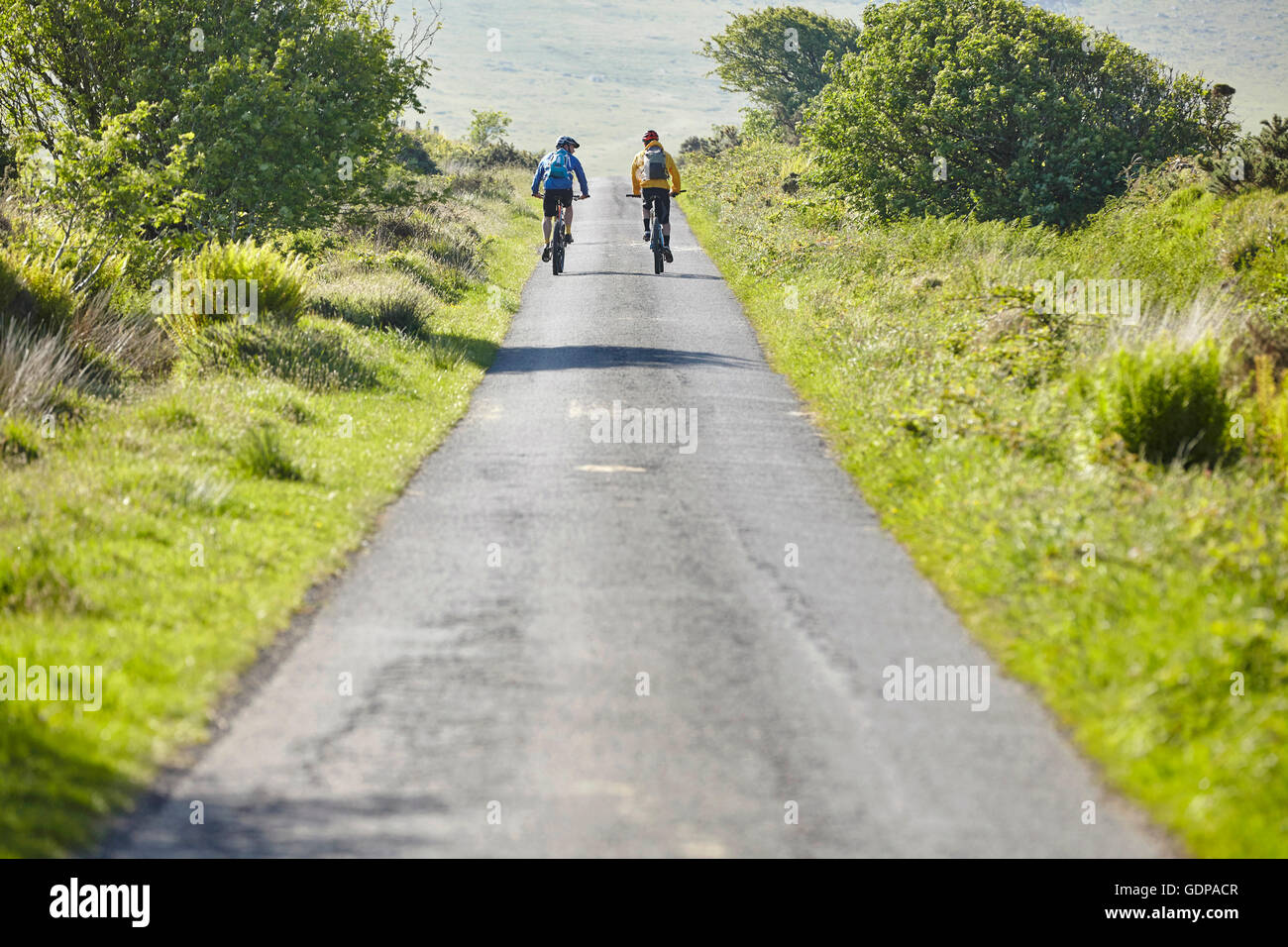 Vista posteriore dei ciclisti ciclismo su strada rurale Foto Stock