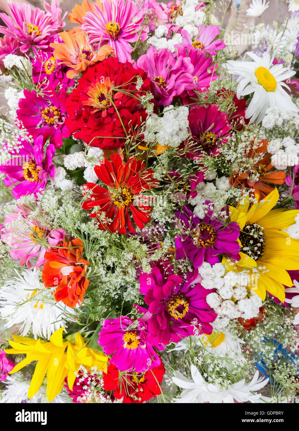 Chiusura del bouquet di fiori. Foto Stock