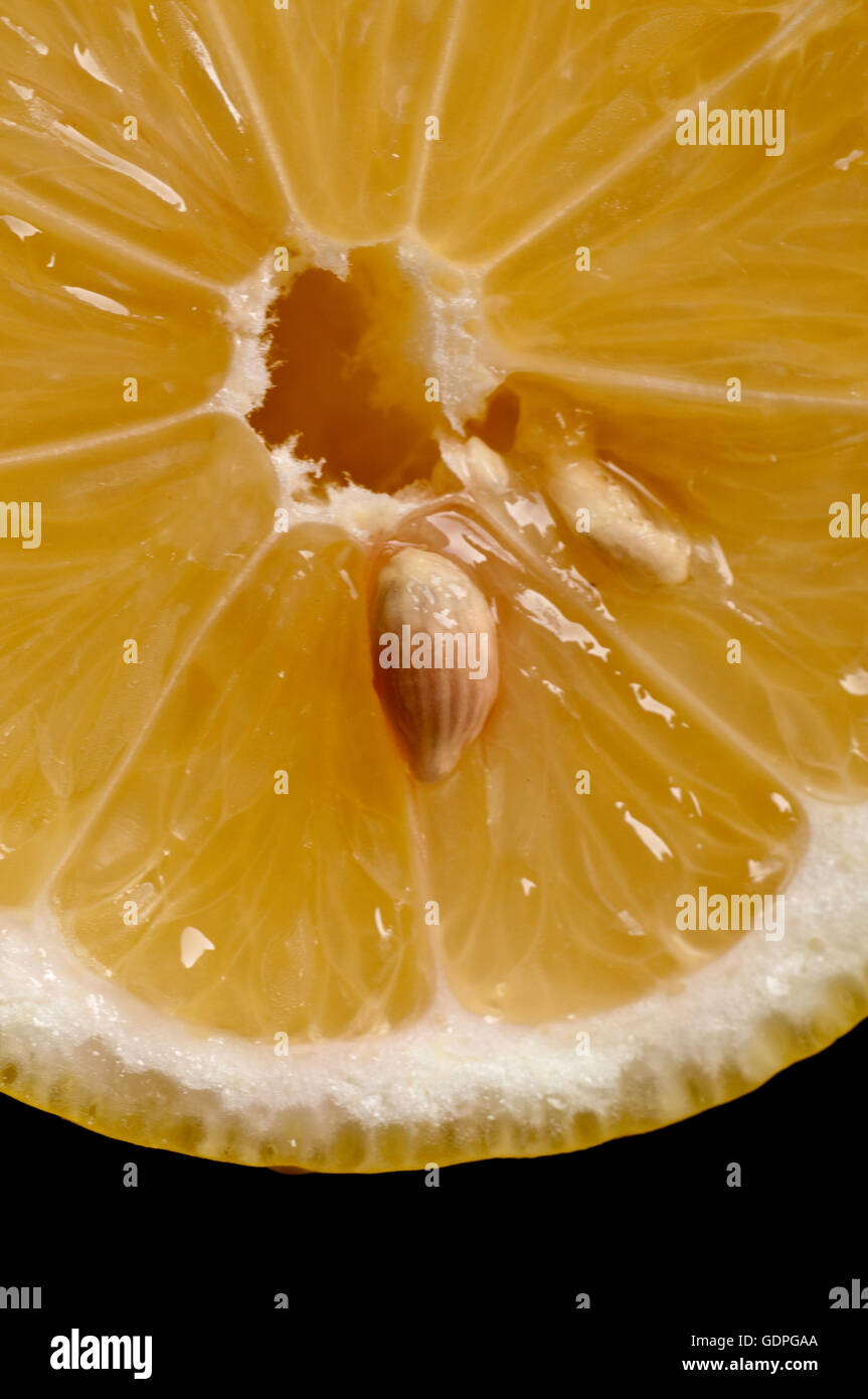 Fettina di limone, macro, fetta, sementi, Foto Stock