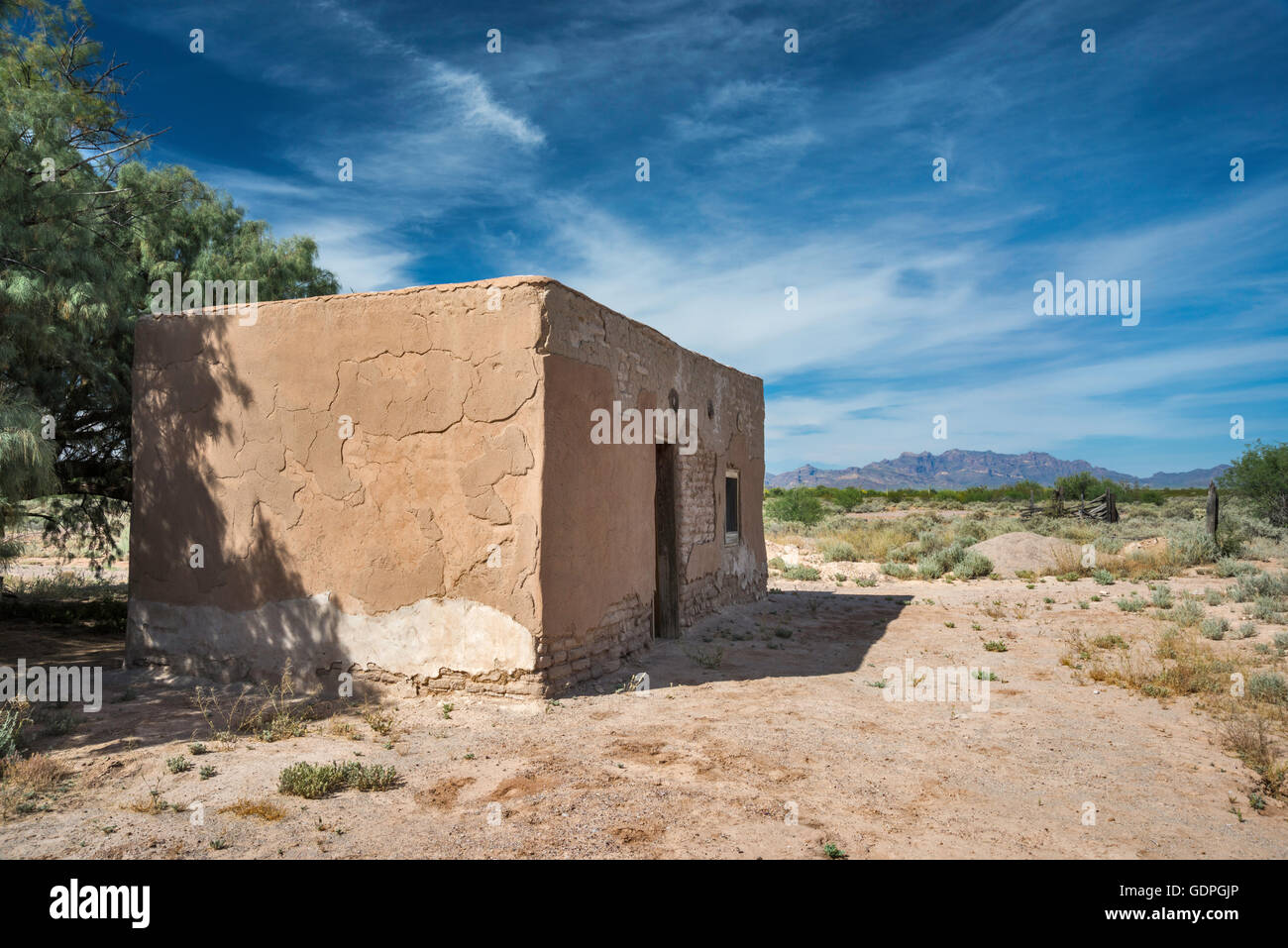 Linea Gachado shack, Deserto Sonoran, organo a canne Cactus monumento nazionale, Arizona, Stati Uniti d'America Foto Stock