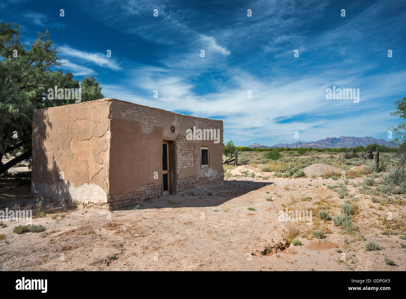 Linea Gachado shack, Deserto Sonoran, organo a canne Cactus monumento nazionale, Arizona, Stati Uniti d'America Foto Stock