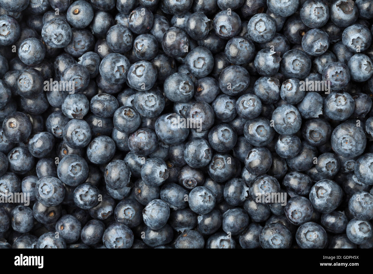 Bacche blu full frame close up Foto Stock