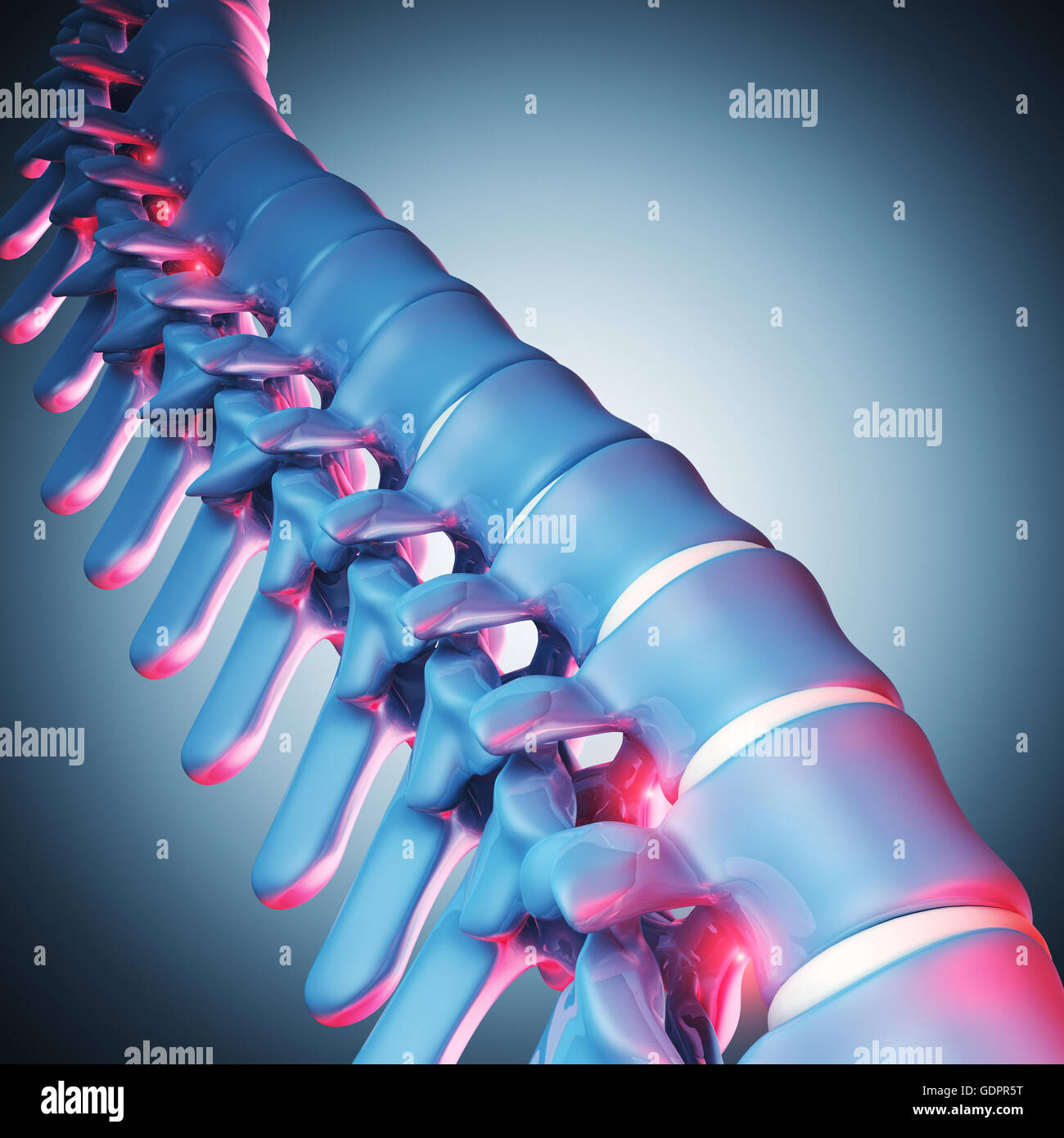 Immagine 3d della colonna vertebrale umana Foto Stock