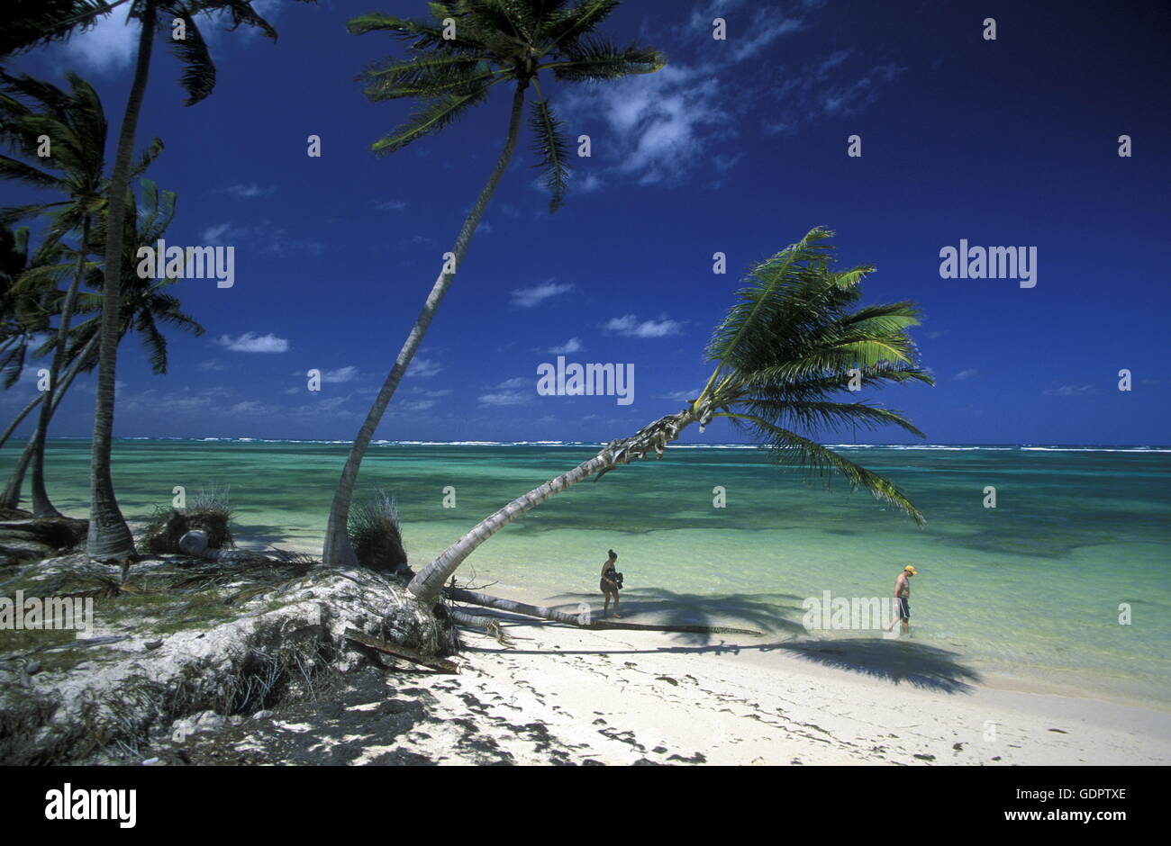 Una spiaggia presso il villaggio di Las Terrenas su Samanaon nella Repubblica Dominicana nel Mar dei Caraibi in America Latina. Foto Stock