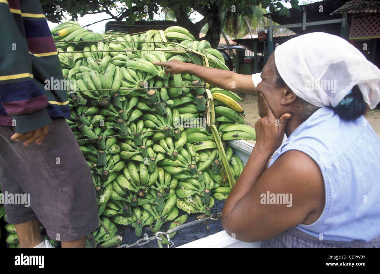 Banane al mercato presso il villaggio di Las Terrenas su Samanaon nella Repubblica Dominicana nel Mar dei Caraibi in latino Americ Foto Stock