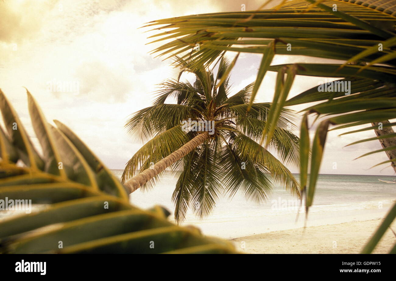 Una spiaggia presso il villaggio di Las Terrenas su Samanaon nella Repubblica Dominicana nel Mar dei Caraibi in America Latina. Foto Stock