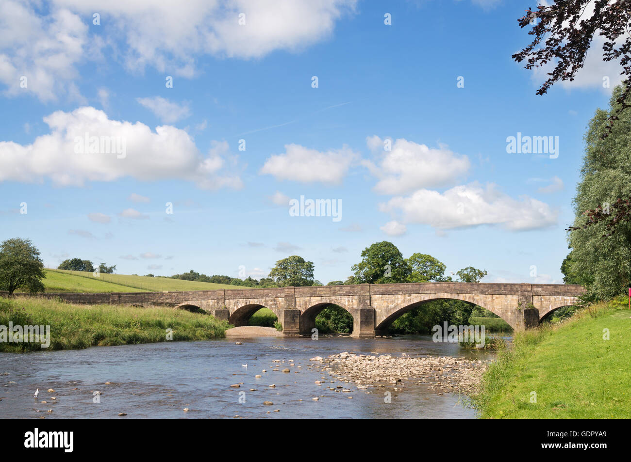 Edisford ponte sopra il fiume Ribble, Clitheroe, Lancashire, Inghilterra, Regno Unito Foto Stock