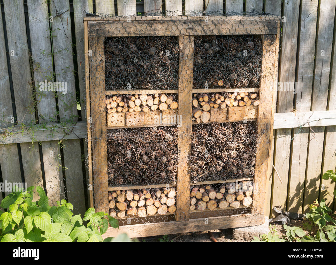 Insetto o bug hotel su un riparto giardino, realizzato con materiali riciclati Foto Stock