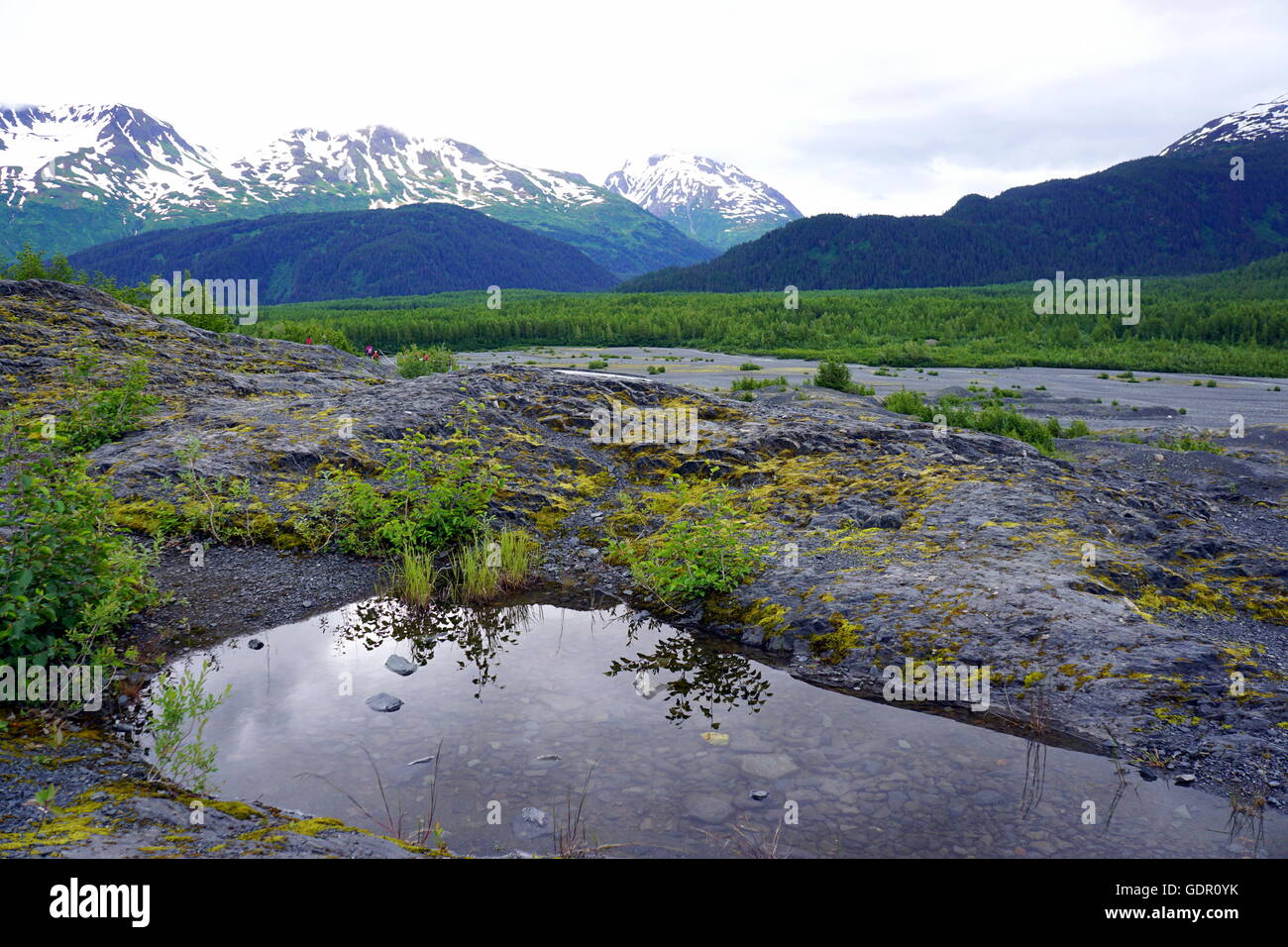 L'acqua del ghiacciaio si è fusa all'uscita Glacier, Harding Icefield nelle montagne Kenai dell'Alaska e una delle principali attrazioni del Parco Nazionale dei fiordi di Kenai. Foto Stock
