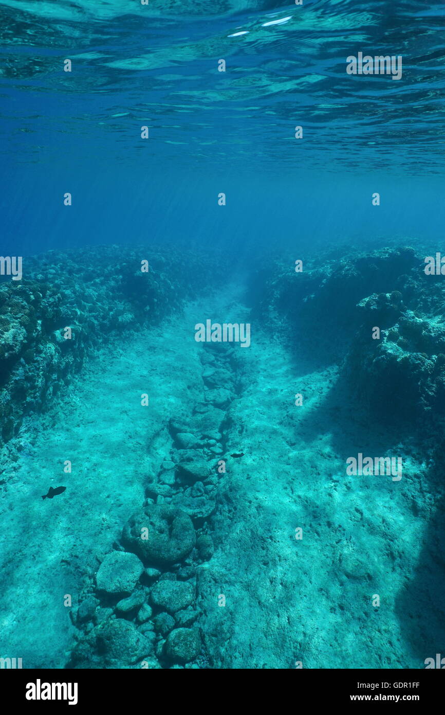 Percorso Subacqueo scolpito dal gonfiarsi nella barriera corallina sul fondo dell'oceano, oceano pacifico, Polinesia Francese Foto Stock