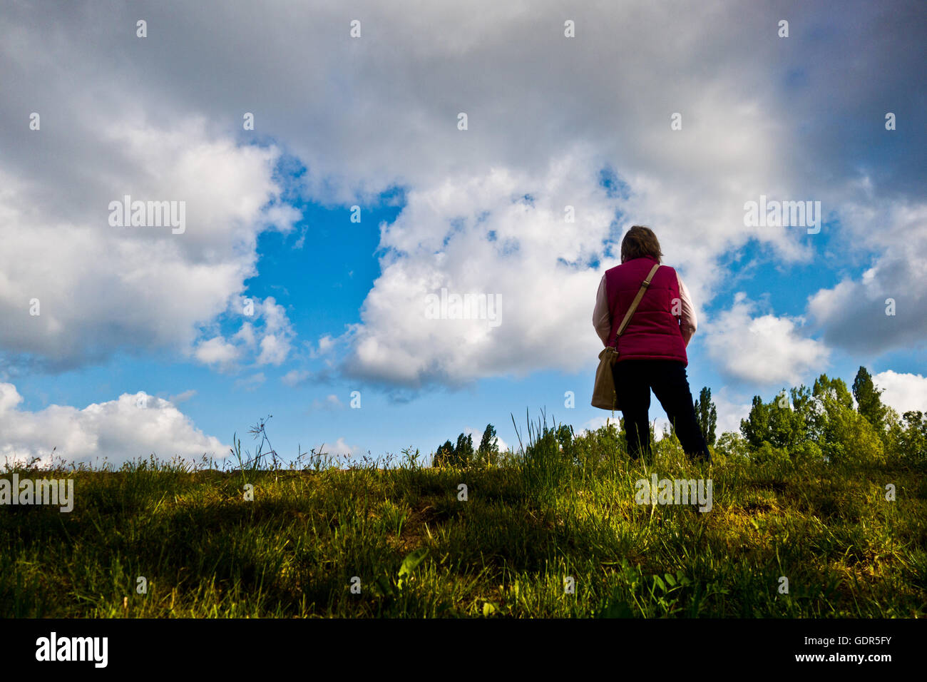 Donna in piedi sul bordo di una collina e guardare avanti Foto Stock