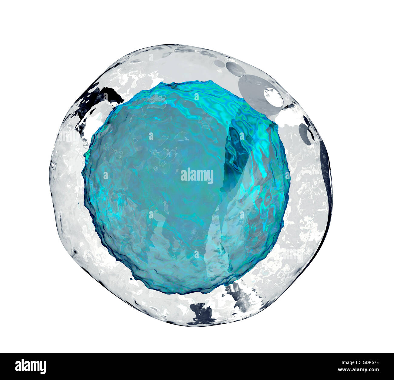 Human cellula uovo isolato su bianco, 3d illustrazione Foto Stock