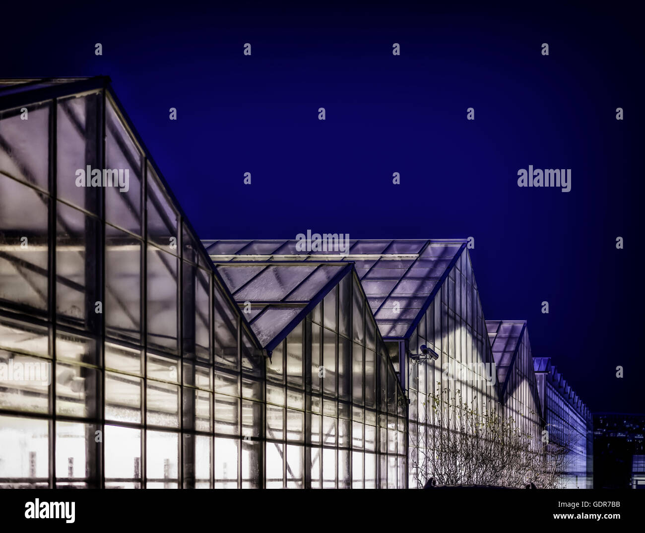 Serra di notte in inverno, Reykjavik, Islanda. Questa serra utilizza energia geotermica. Foto Stock
