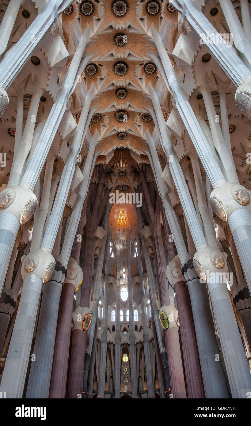 Interno della Basilica Sagrada Familia,navata, Barcellona, in Catalogna, Spagna Foto Stock