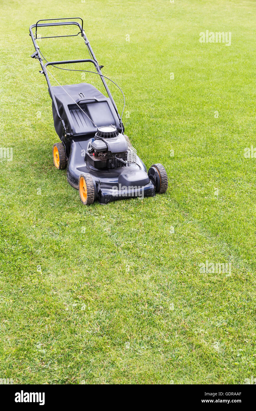 Lawn mover il taglio di erba verde sul campo del giardino Foto Stock