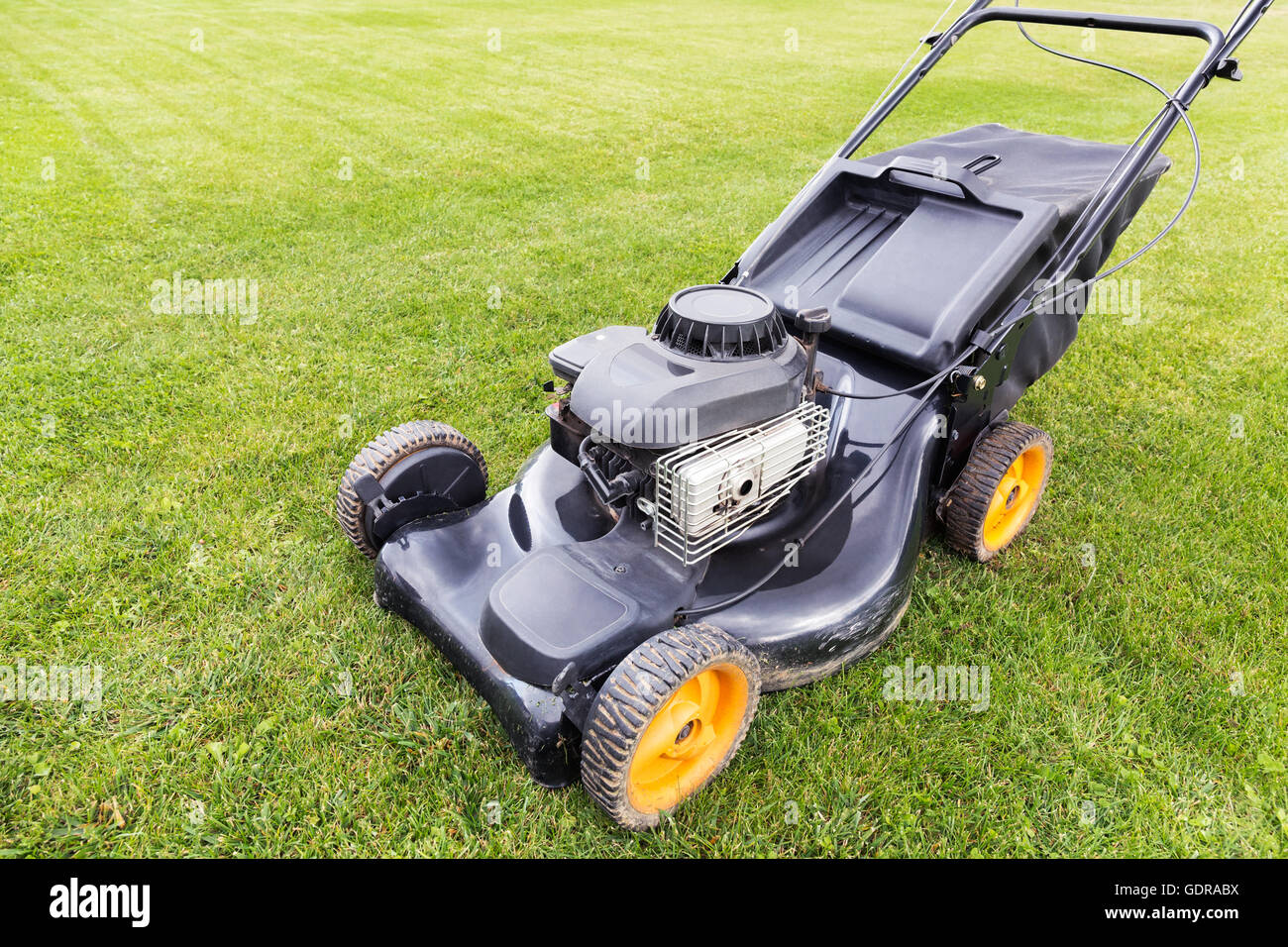 Lawn mover il taglio di erba verde sul campo del giardino Foto Stock